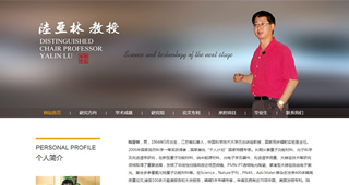 中國科學技術(shù)大學 陸亞林教授